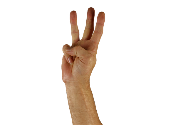 hand, finger, three, sign language, three, three, three, three, three