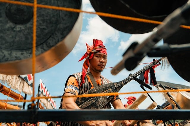 musician, traditional clothing, cultural festival, traditional music, festival, traditional, musical instrument, drum, man, ethnic, outdoor, sky, blue, blue sky, tradition, culture, handicraft, headband, art form, nature, local, performance