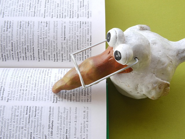 school, a book, knowledge, read, to learn, training, to study, browse, writing, read through, study, literature, text, glasses, bird, clay figure, decoration, wisdom, attentive, fun, library, textbook, information, languages, research, science, school enrollment, translation, translate, dictionary, foreign language, meaning, reading disabilities, side, smart, book page, allegory, symbol, legal, law, permitted, paper, employment, intelligence, students, nature, college student, apprentice, teacher, lecturer, professor, coach, trainer