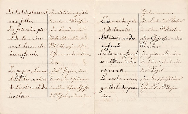 german, french, lecture, writing, culture, communication, language, translation, understand, international, exercise, learn, text, word, translate, decode, world, knowledge, dictionary, definition, translating, anno, old paper, retro, vintage, texture, transcription, selective, letter, paper, old, focus, page, handwriting, ink, notebook, memo, time, aged, translation, translation, translation, translation, translation, translate, translate, decode, definition, transcription, transcription, transcription