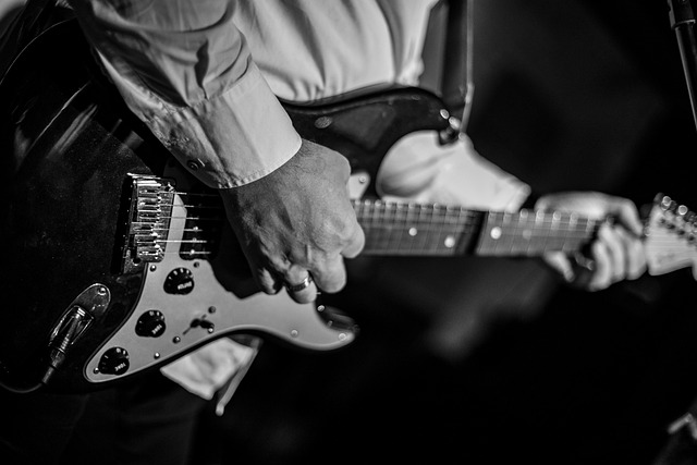 musician, guitar, music, tool, guitar player, stringed instrument, electric guitar, jazz, guitar, guitar player, guitar player, guitar player, electric guitar, electric guitar, electric guitar, electric guitar, jazz, jazz, jazz, jazz, jazz