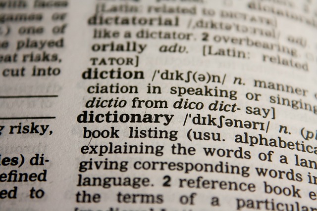 dictionary, words, grammar, abc, letters, lookup, reading, learning, study, education, school, vocabulary, student, library, university, literature, textbook, brown school, brown education, brown library, brown learning, brown reading, brown study, brown letter, brown studying, dictionary, dictionary, dictionary, dictionary, dictionary, grammar, vocabulary, vocabulary