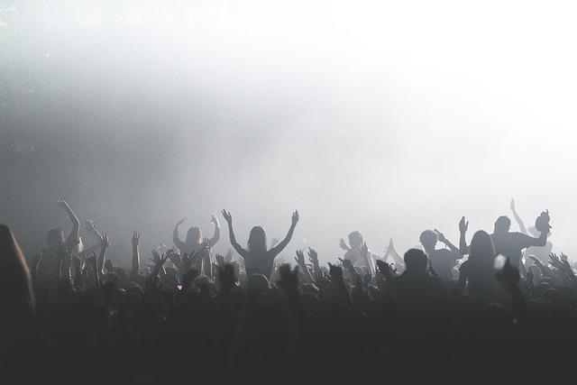 crowd, concert, music, audience, people, event, festival, band, entertainment, performance, party, stage, fun, show, club, nightlife, lights, disco, celebration, musician, dance, live, fans, perform, gray music, gray light, gray dance, gray party, gray crowd, gray event, gray concert, gray dancing, gray fun, gray celebrate, gray lights, crowd, crowd, crowd, concert, concert, concert, concert, concert, audience, audience, audience, audience, event, band, band, club, disco, disco